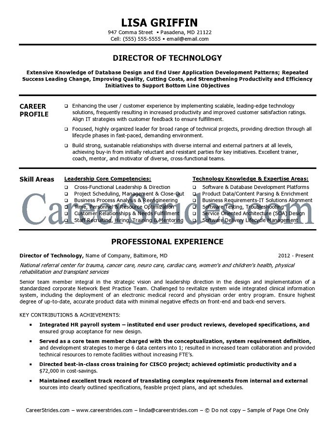 IT director resume sample