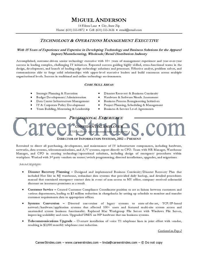 information technology management resume