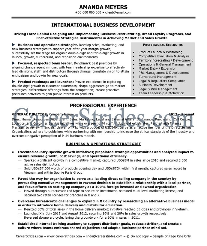 international resume sample
