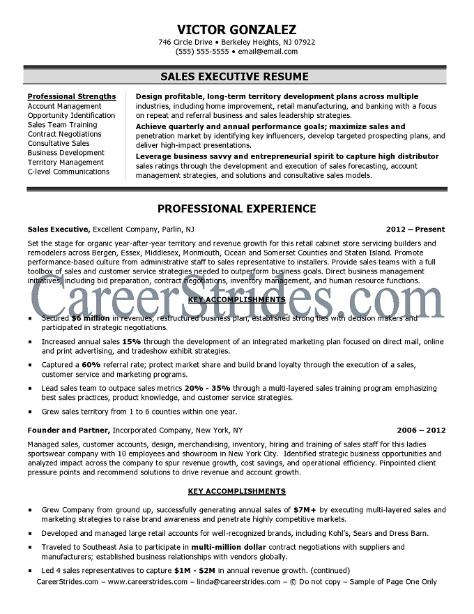 executive sales resume sample
