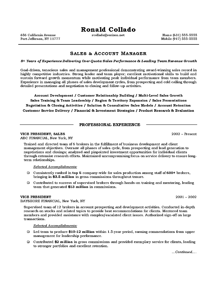 vice president of sales resume sample