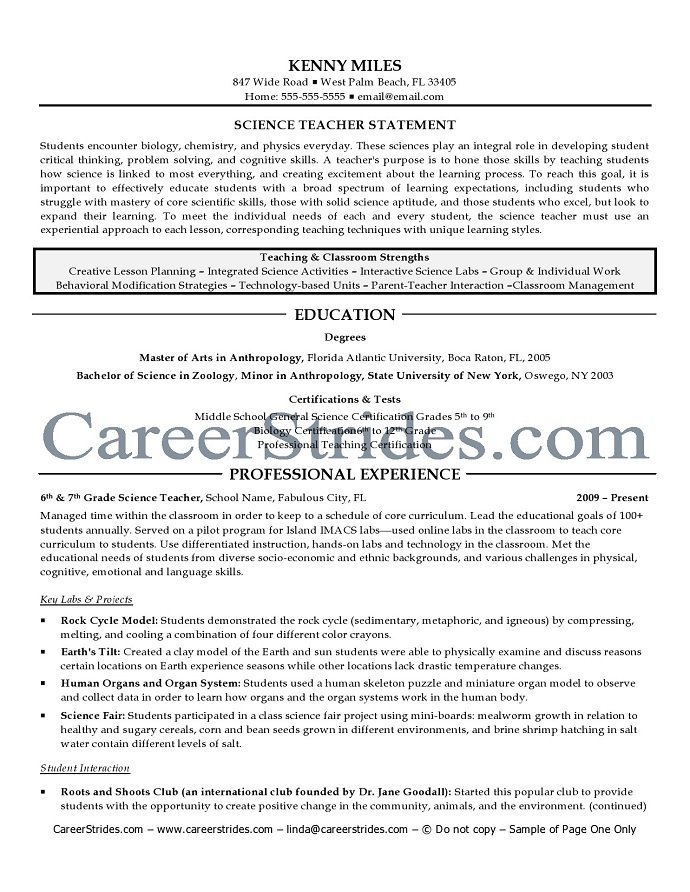 IT director resume sample