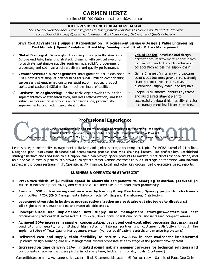 executive resume sample